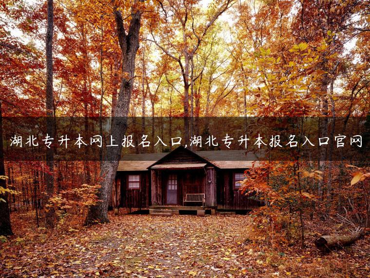 湖北专升本网上报名入口,湖北专升本报名入口完美游戏官网平台官网-广东技校排名网